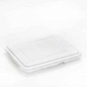 paper plates disposable custom printed disposable paper plates plastic plates disposable party