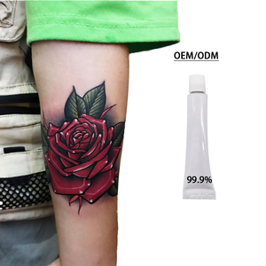 ชุดอุปกรณ์แต่งคิ้วและปากแบบพกพา ครีมสีขาวสำหรับสักลายขนาดเล็ก รุ่นล่าสุด เหมาะสำหรับช่างแต่งหน้าและสตูดิโอเคลื่อนที่ - Product Image 4