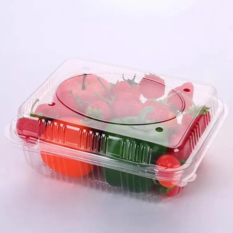 Kotak kemasan cangkang kerang plastik Food Grade grosir wadah buah