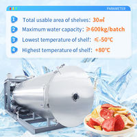Gevriesdroogde Citroenmelkpoeder Lyofilisator Vriesdroger Fruit Vacuüm Vriesdroogmachine