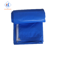 Pe Leno Tarp Scaff Tarps 20x30 Bâche d'isolation thermique