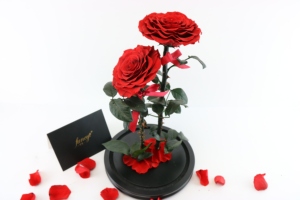 Set regalo di natale di tendenza piccola cupola di vetro rose conservate altre decorazioni per la casa-i migliori regali di Natale - Product Image 4