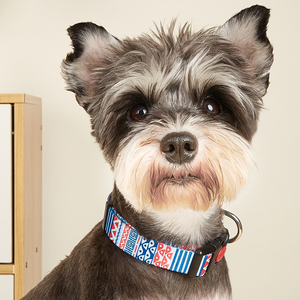 다색 인쇄 개 목걸이 패션 중소형 및 대형 개를위한 간단한 스타일 강한 나일론 애완 동물 용품 핏불 푸들 - Product Image 4