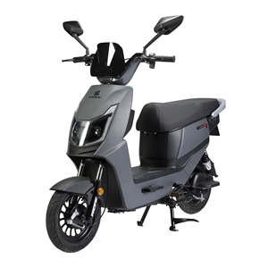 Bicicletta Elettrica da Città <span class=keywords><strong>per</strong></span> Adulti, 14 Pollici, 48V 350W, Alta Velocità, Motore Brushless, Stile Urbano e Casual - Product Image 1
