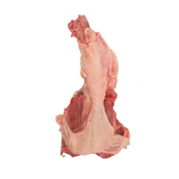 Carpes de poulet glacé, vente en gros