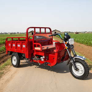 2026 Contenitore di Stoccaggio Grande, Vendita Diretta dalla Fabbrica, Produttore di Tricicli Elettrici Domestici e Veicoli Agricoli per Trasporto Merci - Product Image 4