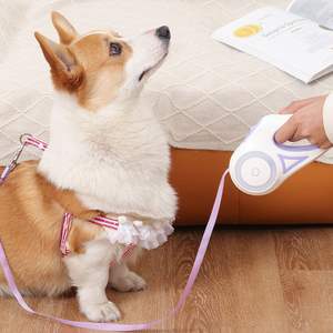 Hot Selling Adjustable Nylon Dog <b>Lead</b> Long Retractable Pet Dog Leash LED Flash Light Reflective Automatic Walking Colorful <b>Slip</b> - Product Image 4