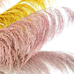 Plumas de Pampas Preservadas al por Mayor, Grandes, Esponjosas, Tacto Natural, Decoración Boho, Arco de Boda, Lujo, Navidad, Naturales y Secas - Product Image 2