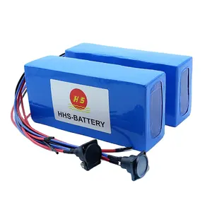 High performance customized li-ion accu 12v 24v 36v dc motor auto rickshaw battery