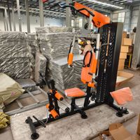 PINJIAN Appareil d'Entraînement Complet de Force, Équipement de Gym Multifonctionnel d'Intérieur, Poste Unique
