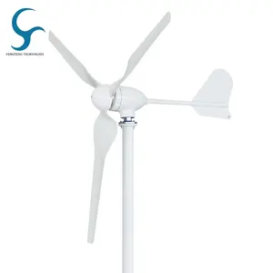 CE 및 iso를 가진 풍력 발전기 DC 산출 공장 판매를 위한 MPPT 관제사를 가진 진짜 힘 600W 12V 24V 48V 바람 터빈
