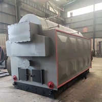 Chaudière à vapeur horizontale à tubes de feu à alimentation manuelle industrielle 0,5-10 tonnes/h, biomasse bois charbon pour le traitement textile et bois