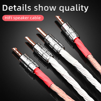 1 paire de câbles pour haut-parleurs HiFi 12TC, de haute qualité, en OCC pur, avec prise banane, pour moniteur et amplificateur d'enceintes d'ordinateur