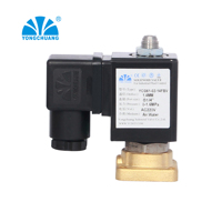 YONGCHUANG YCGT11 rubis joint longue durée de vie électrovanne 2 voies pour machine à café commerciale machine à mousser ac220v dc24v