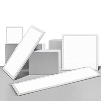 Panneau lumineux LED pour salle blanche 600x600 1200x300 Lumière de purification LED Panneau lumineux pour salle blanche pour usine pharmaceutique Salle blanche