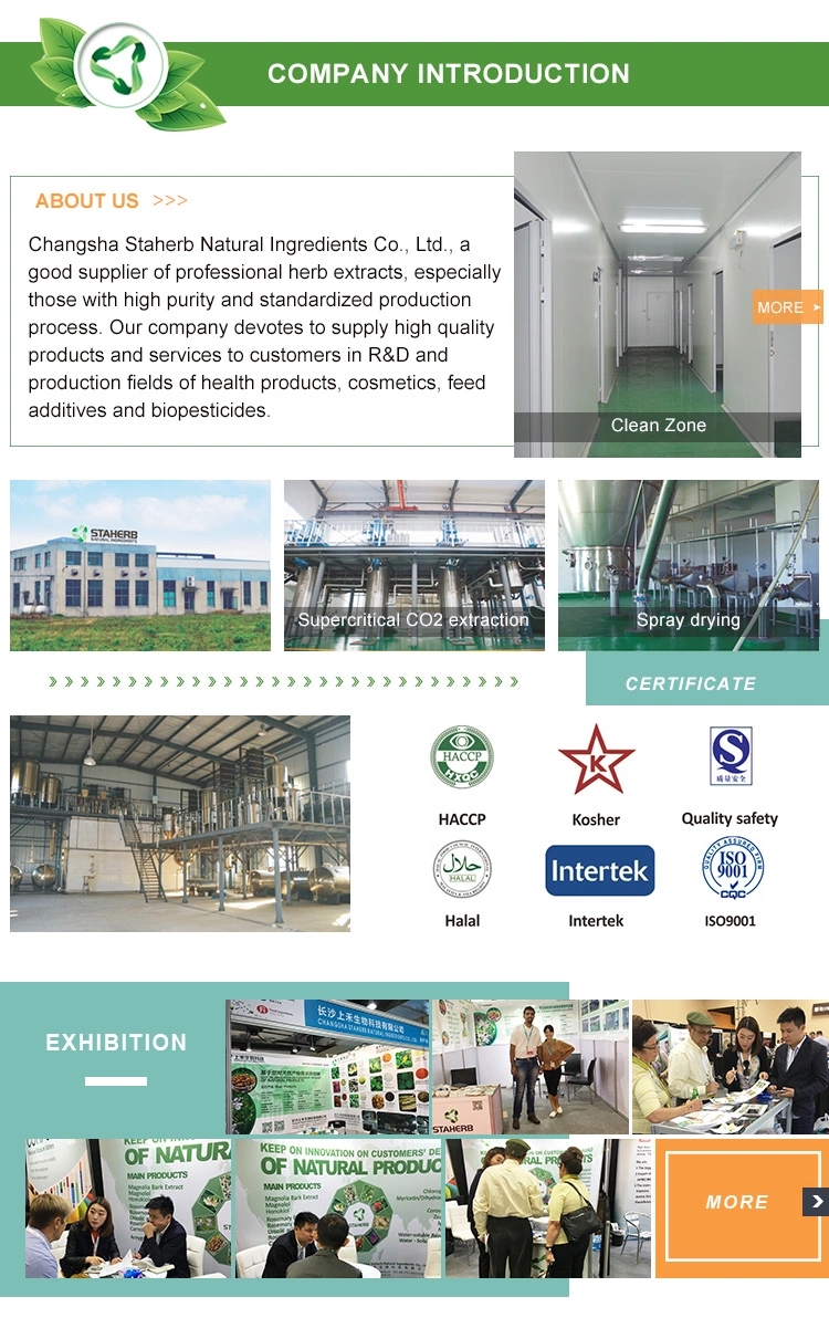 Polygonum Cuspidatum Extract Resveratrol 98% powder