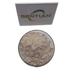 Bacillus Coagulans Ganeden Bc30 probiotici 100 miliardi di Cfu/g di bacillo coagulani - Product Image 3