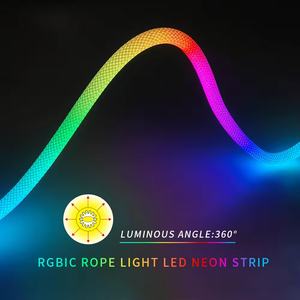 Hiện đại Led Neon Flex dây Ánh Sáng rgbic trắng bóng râm điều khiển từ xa USB powered cho ban đêm trang trí có sẵn 1m 7m Silicone - Product Image 6
