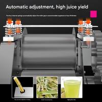 Commerciële automatische elektrische centrifugale suikerrietpers met roestvrijstalen motor voor fruitverwerkingsbedrijven