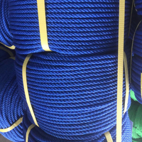 Corde d'emballage en polyéthylène PE torsadée à 4 brins de 12 mm de couleur bleue pour l'aquaculture et la pêche, destinée au marché indonésien