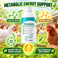 Additif alimentaire liquide à base d'acide lactique et d'acide citrique pour poulets de chair et poules pondeuses