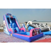Toboggan aquatique gonflable de qualité commerciale en PVC avec piscine d'éclosion, toboggan aquatique gonflable glacé pour la location d'événements estivaux