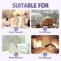 Huile Essentielle de Lavande Naturelle Personnalisable OEM, Aromathérapie Florale, Extrait de Plantes Citron Menthe, Huile Essentielle pour Humidificateur et Diffuseur 30ML