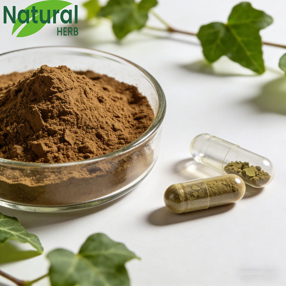 Natural Ivy Leaf Extract Brown Powder 10% Hederacosides GMP Certified ...