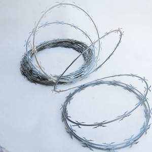 Fil de fer <span class=keywords><strong>barbelé</strong></span> galvanisé anti-escalade, lames de protection, épines en acier inoxydable, fil de <span class=keywords><strong>barbier</strong></span> - Product Image 3