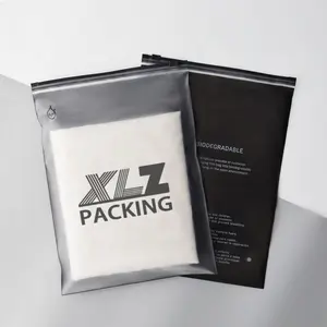 Grosir kustom Logo ramah lingkungan Pvc buram Matte plastik kemasan ritsleting tas surat poli untuk pakaian & pakaian dalam