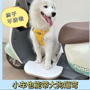 Electric Vehicle Dog Carrying Extension Board Large Pet Seat Portable Saddle For Electric Scooter Pedal Extension - Product Image 4