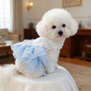 Jupe en tulle brodée pour chien et chat, motif papillon et fée, en polyester, robe mignonne pour petit chiot, toutes saisons - Product Image 3