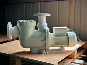 Pompe de filtration pour piscine à interface à bride de haute qualité, résistante aux hautes températures - Product Image 2