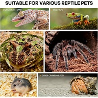 Terrarium en acrylique haute transparence pour araignées sauteuses, petit habitat de bureau pour insectes et reptiles