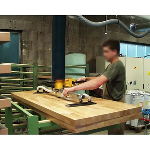 Sistema de grúa de acero y aluminio, tableros de enrutador de madera, manipulador de placas, elevador de vacío - Product Image 1