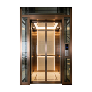 आधुनिक घर लिफ्ट विला आवासीय लिफ्ट ऊर्जा कुशल शांत संचालन अपार्टमेंट pvc उच्च-शुल्क स्टील - Product Image 3