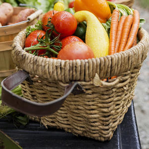 Inoculantes Microbianos en Polvo para el Control del Entorno Nutritivo del Suelo y la Prevención de la Compactación del Suelo - Product Image 3