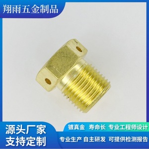 Brass Hex <b>Screws</b> <b>Copper</b> Plugs Standard Thread Metric Machining Turning Finishing 20mm Max Diameter 80mm Length - Product Image 3