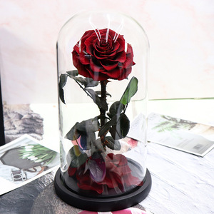 Rosas preservadas de La <span class=keywords><strong>Bella</strong></span> <span class=keywords><strong>y</strong></span> La <span class=keywords><strong>Bestia</strong></span>, precio al por mayor, en cúpula de cristal - Product Image 6