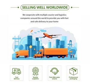 หยดลิโปโซมอล OEM สำหรับการระบายน้ำเหลือง 11 in 1 ผลิตภัณฑ์เสริมอาหารออร์แกนิก รากเบอร์ด็อก เอ็กไคนาเซีย คาเลนดูล่า ปริมาณสำหรับผู้ใหญ่ - Product Image 6