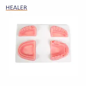 Durable Human 3D Peritoneoscope Skin Suture Pads With Wounds Medical Science Product From Pakistan