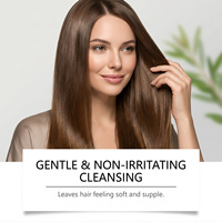 Shampoo à l'huile d'arbre à thé et à la menthe poivrée, nettoyage rafraîchissant pour le cuir chevelu et les cheveux, léger et volumineux