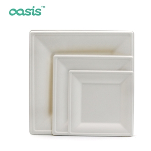 Carta per bagassa biodegradabile ecologica usa e getta quadrata senza PFAS senza uso e degradabile personalizzata - Product Image 3