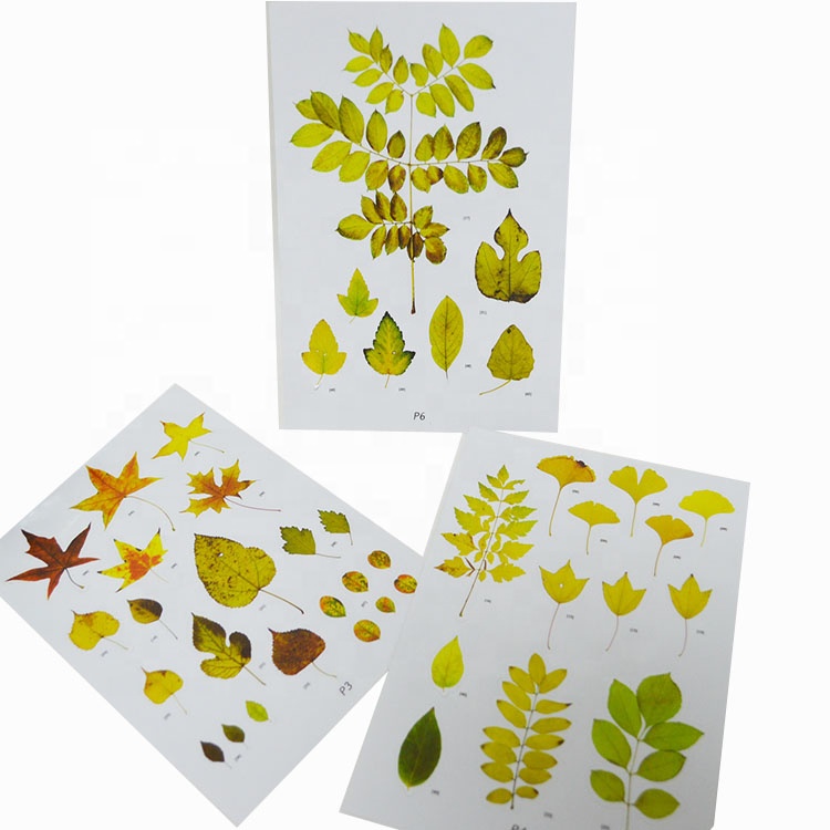 Fallen Leaves Static Cling Window Stickers