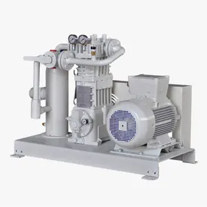 Компенсированный газовый компрессор CNG CO CO2 BOG LPG водородный метановый компрессор природного газа