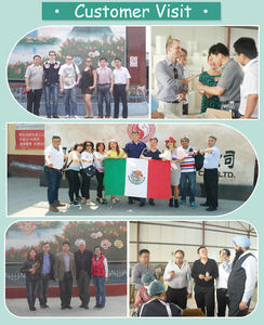 HODAF-Parches transdérmicos multibeneficios, productos para la <span class=keywords><strong>menopausia</strong></span>, <span class=keywords><strong>sofocos</strong></span> y sudores nocturnos, Parche de bienestar - Product Image 4