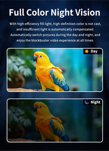 Caméra d'abreuvoir à oiseaux solaire haut de gamme avec identification des espèces d'oiseaux par IA et vision nocturne infrarouge pour abreuvoir à oiseaux de jardin - Product Image 4