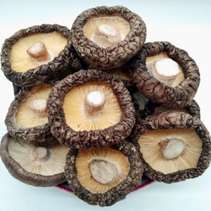 Nấm Shitake Khô Chất Lượng Cao Là Thực Phẩm Khô Hữu Cơ Nấm <span class=keywords><strong>Shiitake</strong></span> Chất Lượng Cao Giá Bán Buôn - Product Image 5