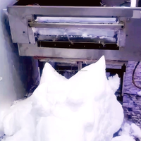 Machine à neige de plafond à haute température 6000kw conception automatique Spa fontaine de glace Machine à neige pour Sauna Spa salle de neige