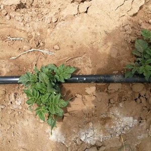 Tubo <span class=keywords><strong>per</strong></span> irrigazione a goccia in PE LDPE, in plastica PC, con imballaggio a rotolo, <span class=keywords><strong>per</strong></span> giardinaggio e agricoltura - Modello Tubo <span class=keywords><strong>per</strong></span> irrigazione - Product Image 6